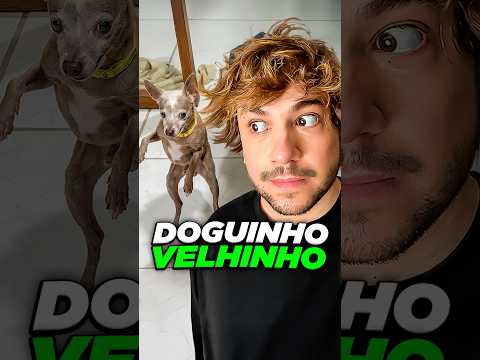 doguinho velhinho @pissadropet #livedobrino #humor #MundinhoBrino thumbnail
