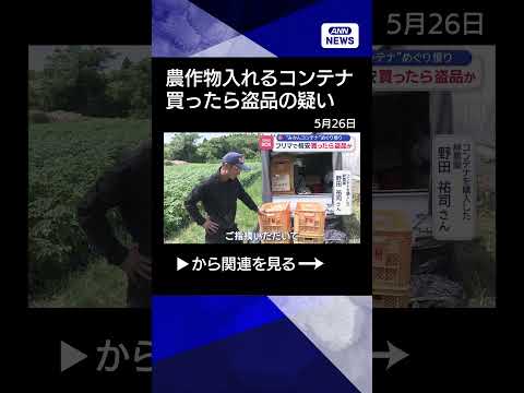 【ニュース】フリマ格安購入したら盗品か“みかんコンテナ”広がる憤り　2人の男女は誰？ #shorts thumbnail