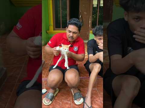 GARA GARA KICAU MANIA #shorts #lucu #art #trending thumbnail