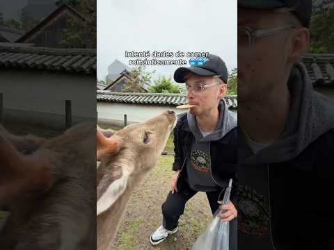 DABAN MIEDO 🦌😱😡 thumbnail