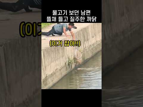 "뭘 봤길래!..." 물고기 구경하던 남편이 뜰채 들고 달린 이유 thumbnail
