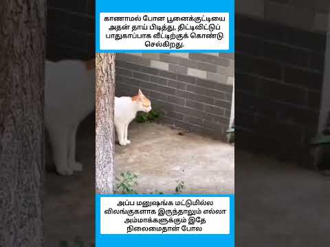 எல்லா அம்மாக்களுக்கும் இதே நிலைமைதான் போல #shorts thumbnail