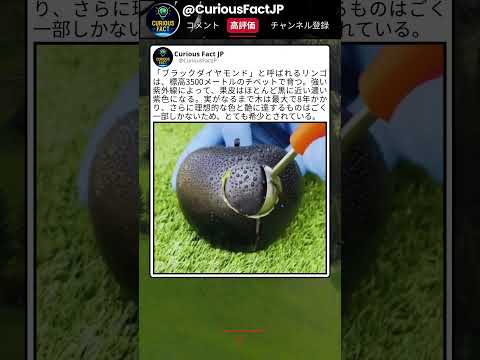 これ、本当にリンゴの色なの…？ ? thumbnail