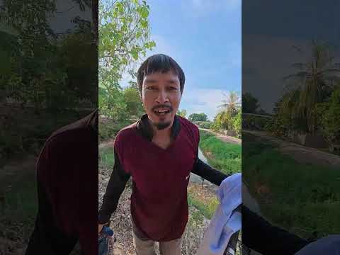 ตกให้เด็กมันดู 🎣😂🤣  #ตกปลา #นอนนาฟิชชิ่ง #nonna_channel thumbnail