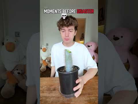 MOMENTS BEFORE COOKED ☠️ thumbnail