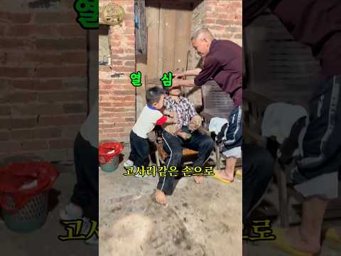 밭일하다 쓰러진 할머니를 본 손자의 충격적인 행동 thumbnail
