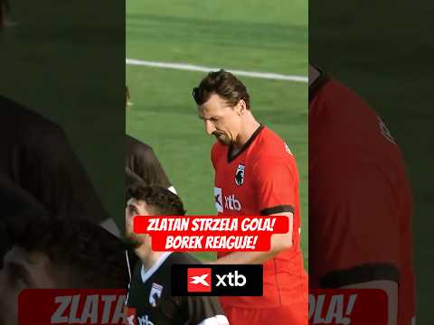 ZLATAN STRZELA GOLA, BOREK REAGUJE! #shorts thumbnail