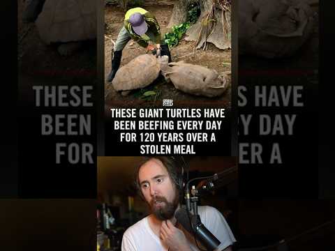 It Makes Sense thumbnail