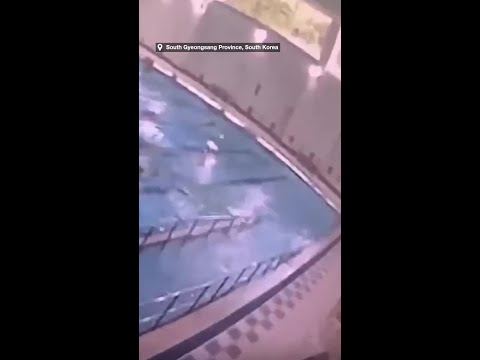 Pensioner crashes car through sports centre and into indoor pool in South Korea thumbnail