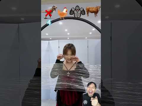 Phá lưới theo kiểu các loài động vật thumbnail