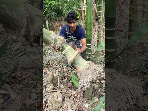 Unique Bamboo Craft Idea | Make a Salt Container at Home #Shorts #amazing thumbnail
