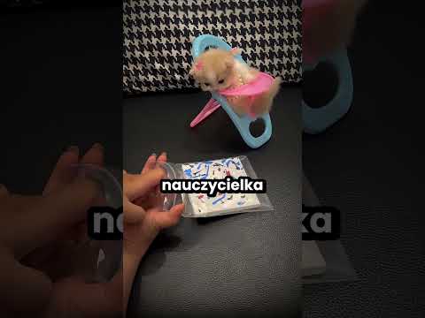 Ten kotek chciał się tylko bawić swoim skuterkiem! 😭 thumbnail