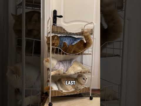 Mom Bedtime Call Sweet thumbnail
