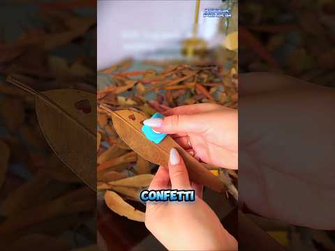Konfeti Pernikahan Dari Daun Eucalyptus‼️ thumbnail