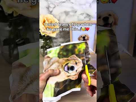 I didn’t expect this ?❤️ #pets #dogs #dogsoftiktok #dogloss #giftsideas thumbnail