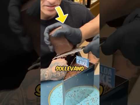 HANNO MOSTRATO IL DOLCE FINITO MA NESSUNO SI ASPETTAVA QUESTO…? #virale #divertente thumbnail