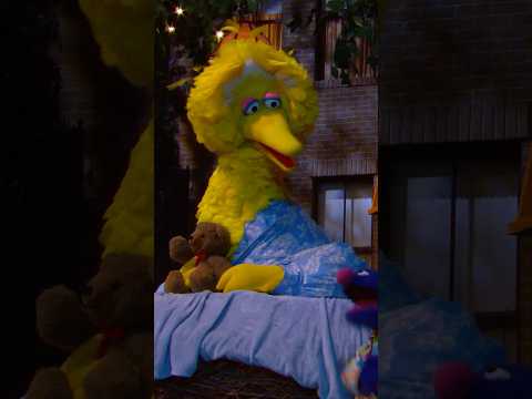 Is Big Bird Asleep?😴#sesamestreet thumbnail