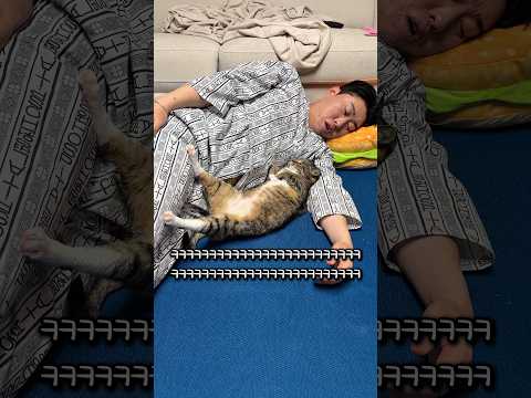 팔베개 하는 고양이 thumbnail