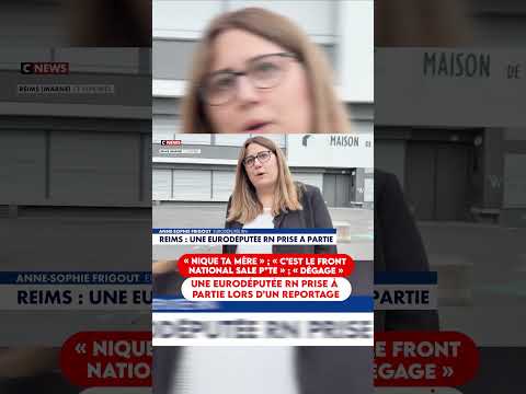 Voici la vidéo de l’eurodéputée RN Anne-Sophie Frigout, prise à partie lors d’un reportage thumbnail