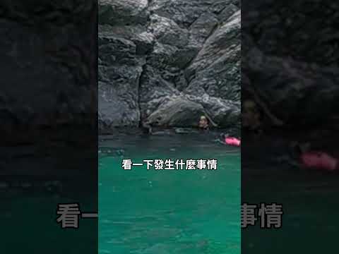黑熊參與了這次的救援，也告訴大家，黑狗是最棒的😘 #黑狗 #台灣土狗 #玩水 #花蓮朔溪 #秘境 #reacuedog thumbnail
