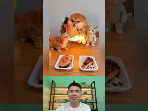 What The Dog Doing P197: PiPi LaBu Gặp Mèo Hệ Lửa. thumbnail