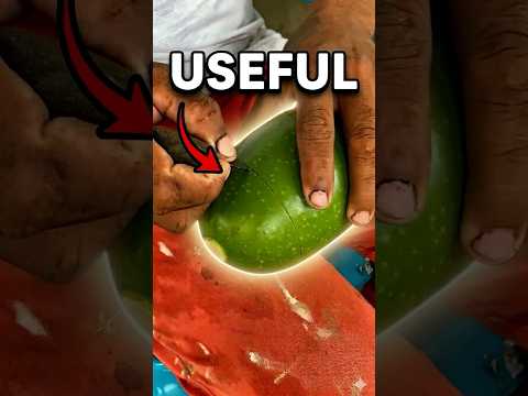 This gourd is turned into something used once in a lifetime. 🤯 thumbnail