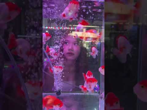 แก้มจะเป็นปลา #lovepotion #น้องแก้มลูกพ่อกร #ซ้อก้าด #ซุงศตาวิน thumbnail
