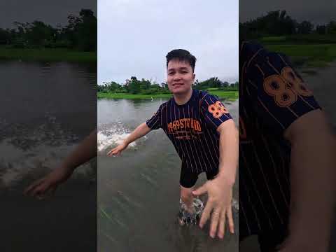 Vũ Điệu Chiếc Xe 🤣 #shorts thumbnail