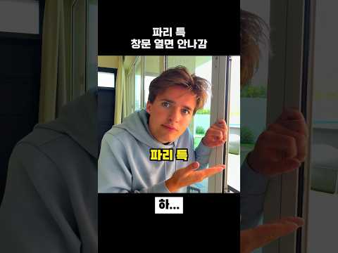 파리 특 thumbnail