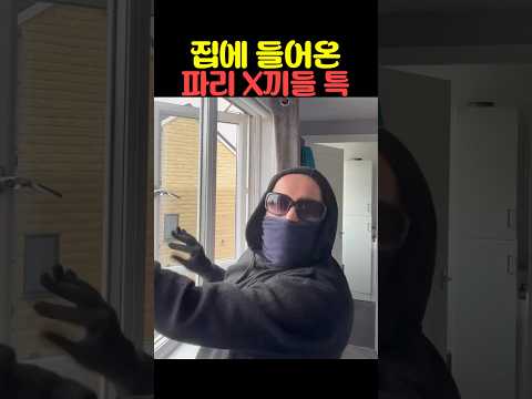 집에 들어온 파리 X끼들 특 thumbnail