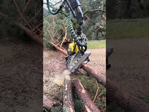 John Deere 1270G Pushing Its Limits on Extreme Mountain Terrain #forest #johndeere #harvester #tree thumbnail