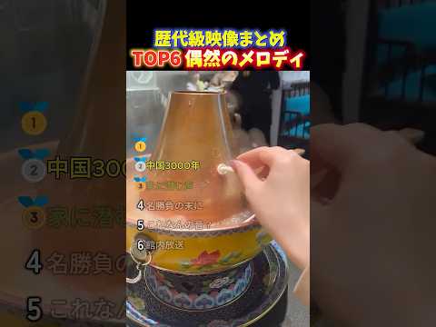 海外でバズった偶然メロディが生まれてしまった面白い瞬間TOP6 thumbnail