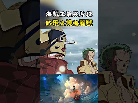 海賊王中最感人的片段沒有之一，就是路飛燒掉梅麗號，草帽團所有人都流下了眼淚#onepiece #luffy #動漫 thumbnail
