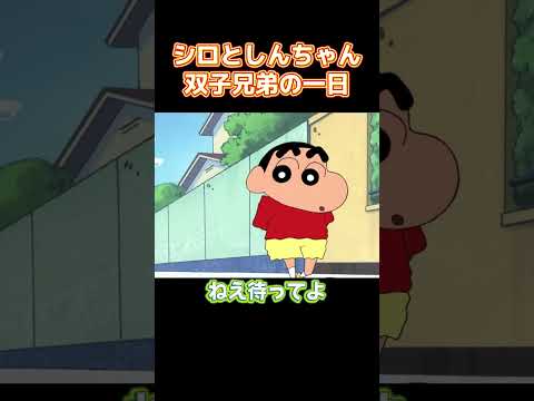 シロとしんちゃん双子兄弟の一日 #コントチャンネル #アニメ  #面白い  #anime #コント thumbnail
