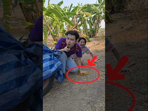 อย่าหัวเราะสิ #funny thumbnail