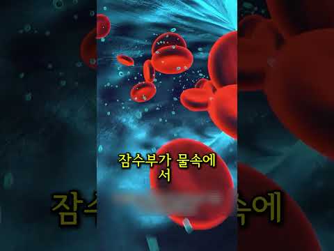 잠수부가 물 밖에 나오자마자 장비 벗기는 충격적인 이유 thumbnail