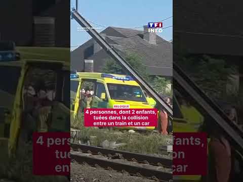 Belgique : 4 personnes, dont 2 enfants, tuées dans la collision entre un train et un car｜TF1 INFO thumbnail