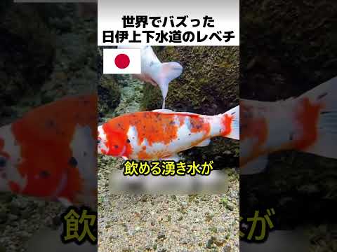 世界でバズった日伊上下水道のレベル thumbnail