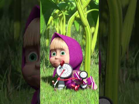 ¡Vamos a dar una vuelta! 🚲✨ #Shorts #mashayelosocastellano #ElPrimoPequeño #mashabear #kids #cartoon thumbnail