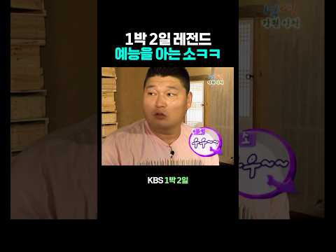 1박 2일 예능을 아는 소 thumbnail
