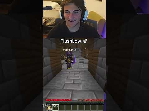 FlushLow ?? #minecraft #gaming thumbnail