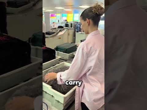She Has 200 IQ Travel Hacks ? thumbnail