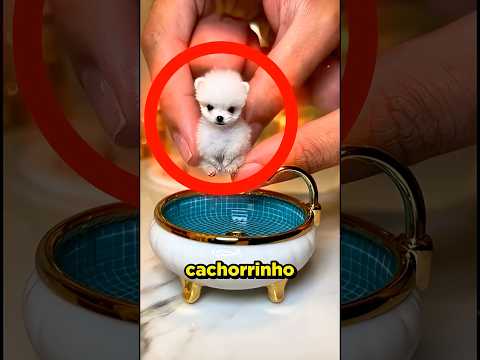 Ninguém achava que ele SOBREVIVERIA! #curioso #incrivel #interessante thumbnail