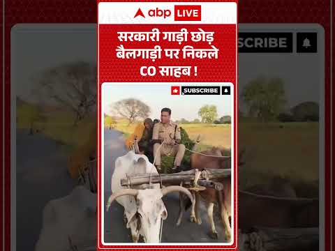 Viral News : सरकारी गाड़ी छोड़ बैलगाड़ी पर निकले CO साहब! | #ytshorts #governmentofficer #upnews thumbnail