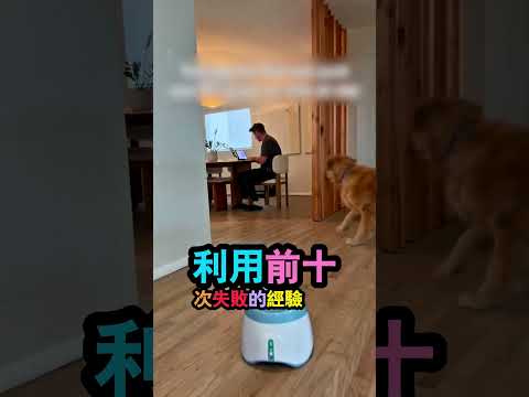 主人還不知道自己已經被瞄準了 thumbnail