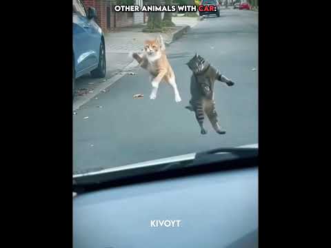 Normal Animals vs King of Animals 💀 thumbnail