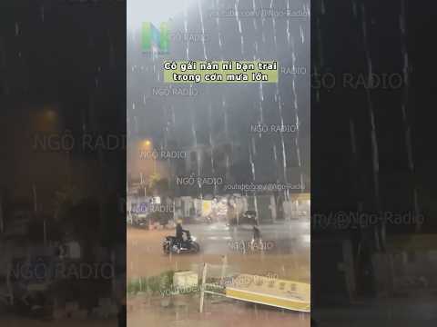 Cô gái năn nỉ bạn trai trong cơn mưa lớn thumbnail