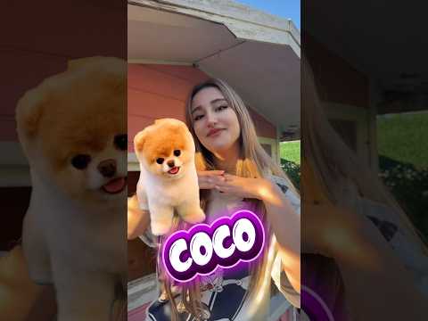 Erkeklerin köpeklerine koyduğu isimler ￼ thumbnail