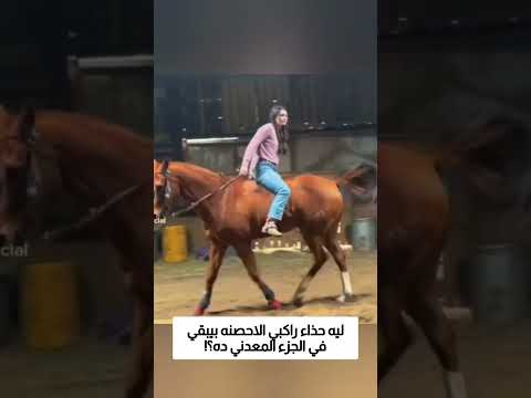 ليه بيحطوا القطعه المعدنيه دي في حذاء راكبي الاحصنه؟! thumbnail