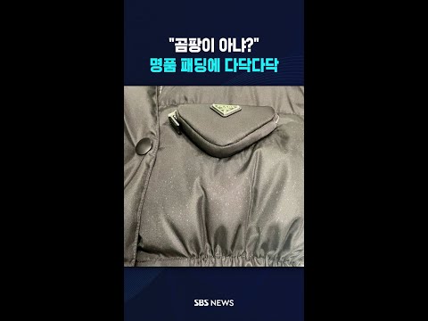 "곰팡이 아냐?" 명품 패딩에 다닥다닥 #shorts thumbnail